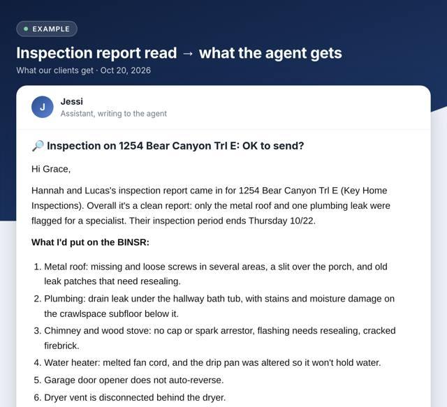 A real example: Inspection report read